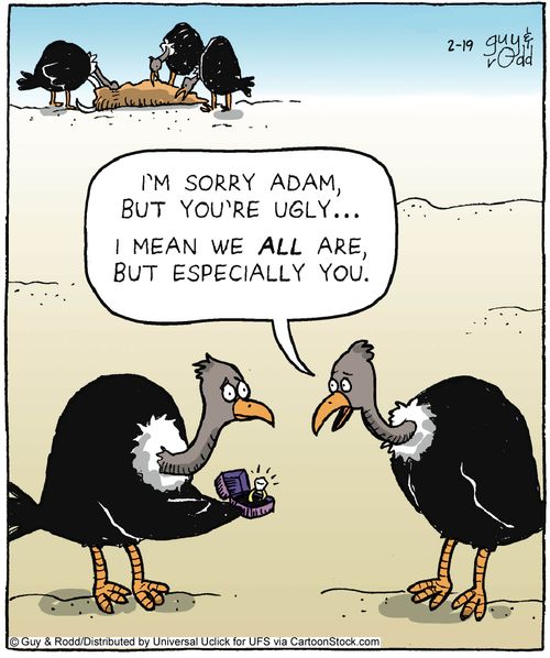 'I'm sorry Adam, but you're ugly... I mean we all are, but especially you.'