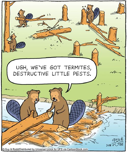 'Ugh, we've got termites, destructive little pests.'