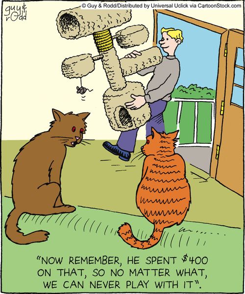 'Now remember, he spent $400 on that, so no matter what, we can never play with it.'