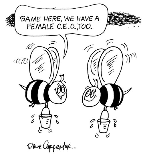 'Same here, we have a female C.E.O., too.'