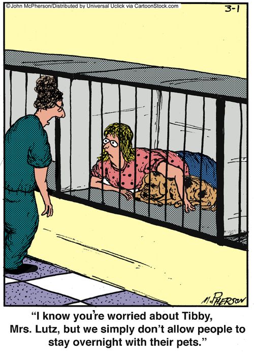 'I know you're worried about Tibby, Mrs. Lutz, but we simply don't allow people to stay overnight with their pets.'