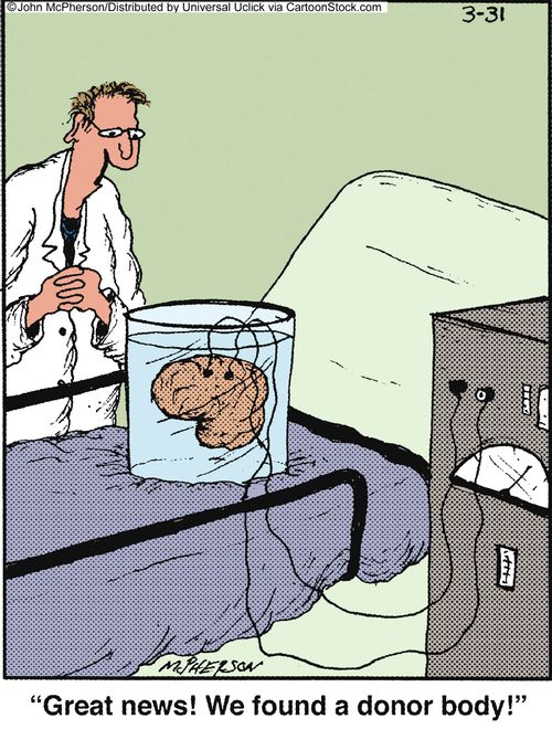 'Great news! We found a donor body!'