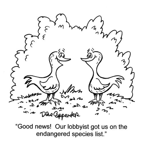 'Good news! Our lobbyist got us on the endangered species list.'