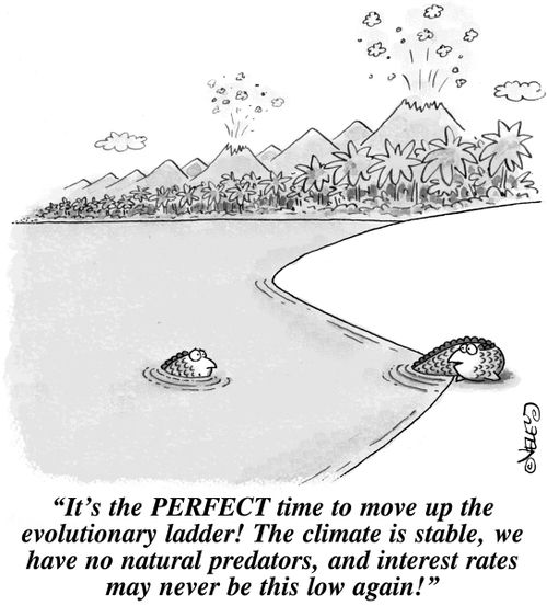'It's the perfect time to move up the evolutionary ladder! The climate is stable, we have no natural predators, and interest rates may never be this low again!'