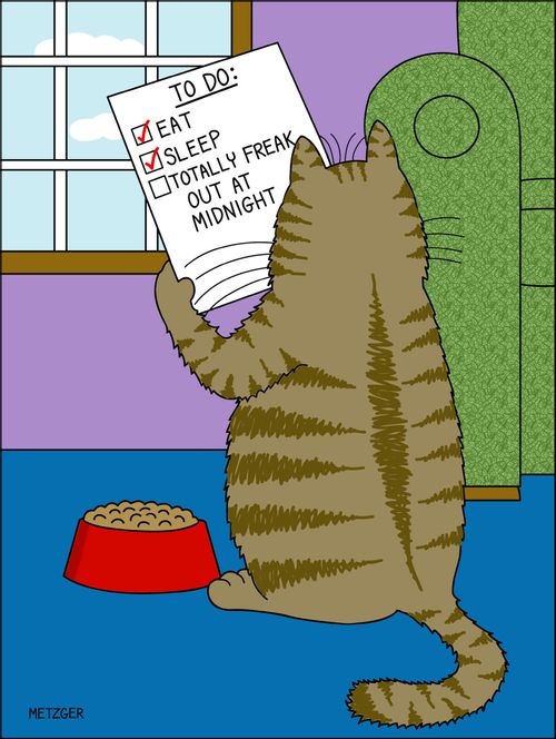 To Do: Eat, Sleep, Totally freak out at midnight.