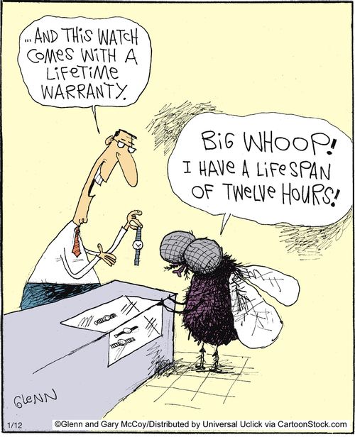 '... And this watch comes with lifetime warranty.'