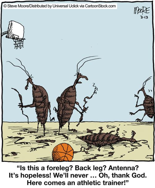 'Is this a foreleg? Back leg? Antenna?....'