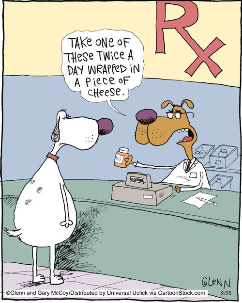 'Take one of these twice a day wrapped in a piece of cheese.'
