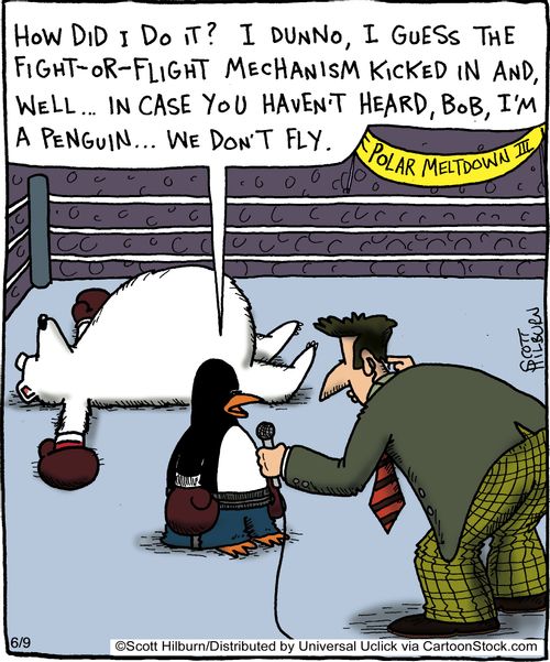 'How did I do it I dunno, I guess the fight-or-flight mechanism kicked in and well,, in case you haven't heard, Bob, I'm a penguin,,,we don't fly,'