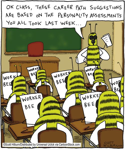 Ok class, these career path suggestions are based on the personality assessments you all took last week...
