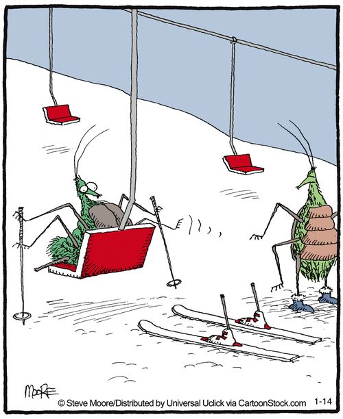 Cockroaches struggle to use the ski lift.