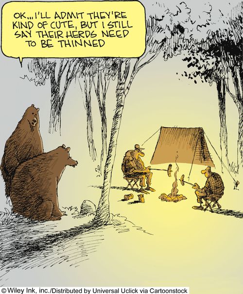 'Ok...I'll admit they're kind of cute, but I still say their herds need to be thinned.'