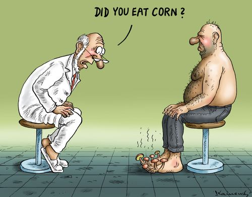 'Did you eat corn?'