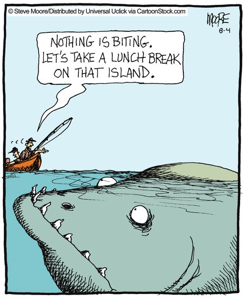 'Nothing is biting, let's take a lunch break on that island.'