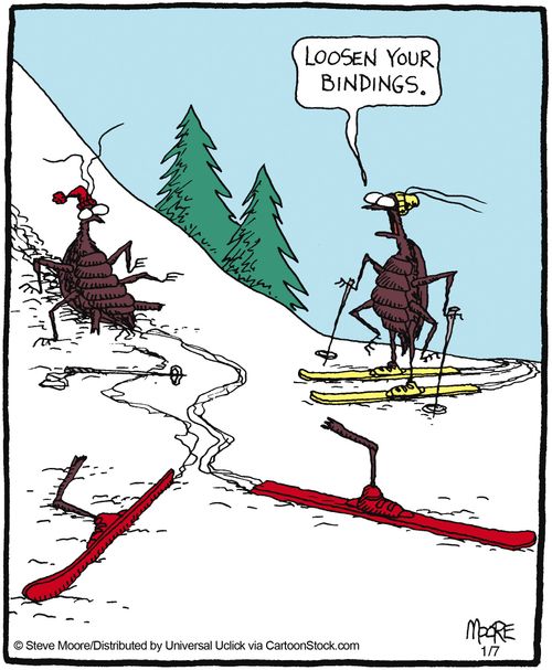 'Loosen your bindings.'