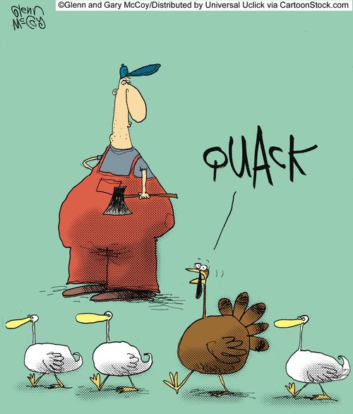 'Quack.'