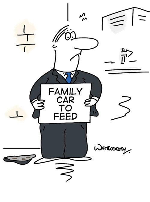 Family Car to Feed.