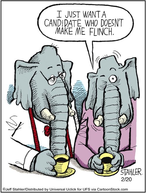 'I just want a candidate who doesn't make me flinch.'