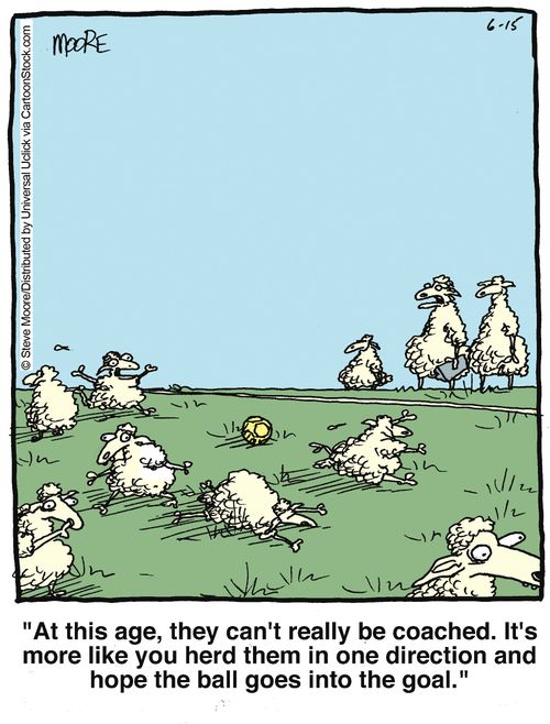 'At this age, they can't really be coached. It's more like you herd them in one direction and hope the ball goes into the goal.'