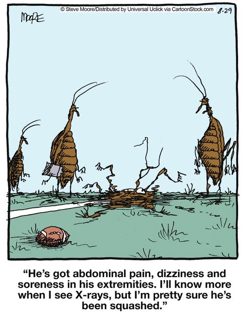 'He's got abdominal pain, dizziness and soreness in his extremities. I'll know more when I see X-rays...'