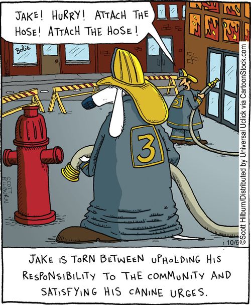 Jake is torn between upholding his responsibility to the community and satisfying his canine urges.