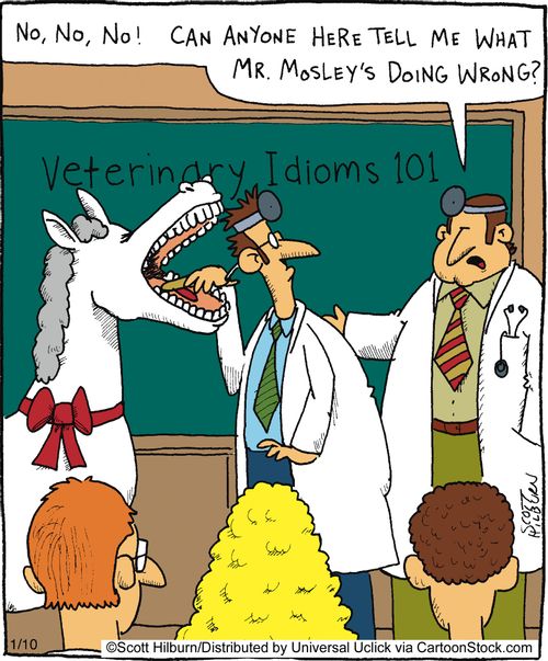 No, no, no! Can anyone here tell me what Mr Mosely's doing wrong?