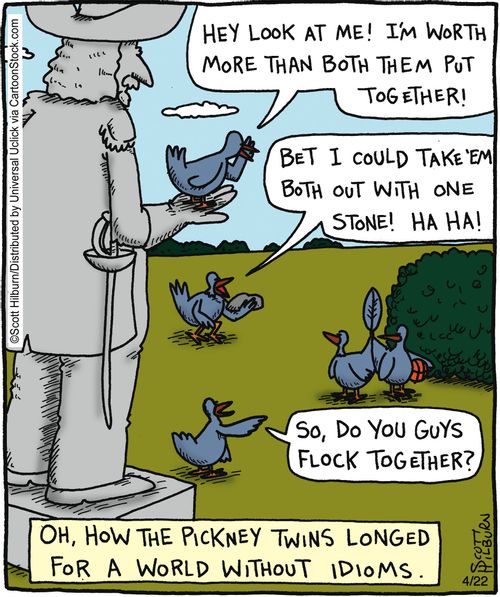 Oh, how the Pickney bird twins longed for a world without idioms,