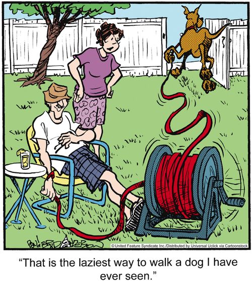 'That is the laziest way to walk a dog I have ever seen.'