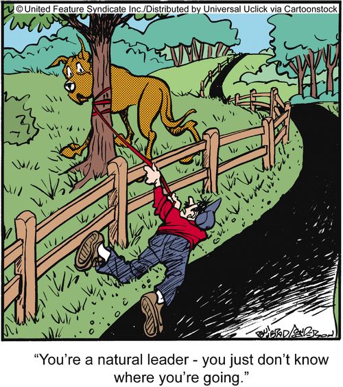 'You're a natural leader - you just don't know where you're going.'