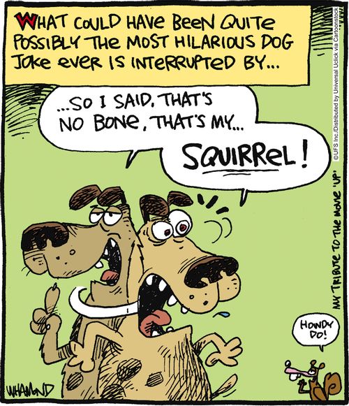 What could have been quite possibly the most hilarious dog joke ever is interrupted by. . . 'So I said, that's no bone, that's my. . . squirrel!'