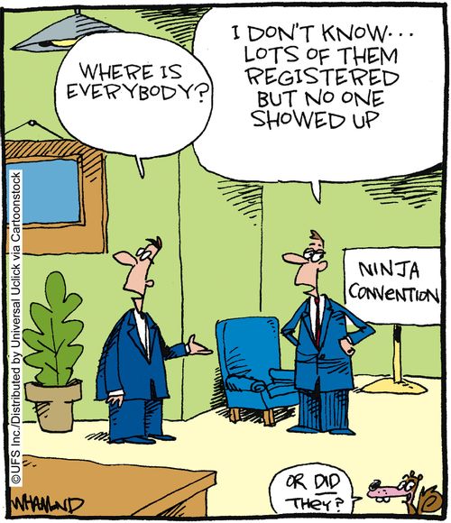 Ninja convention