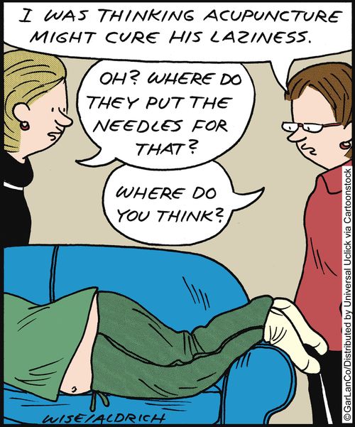 'I was thinking acupuncture might cure his laziness. . .'