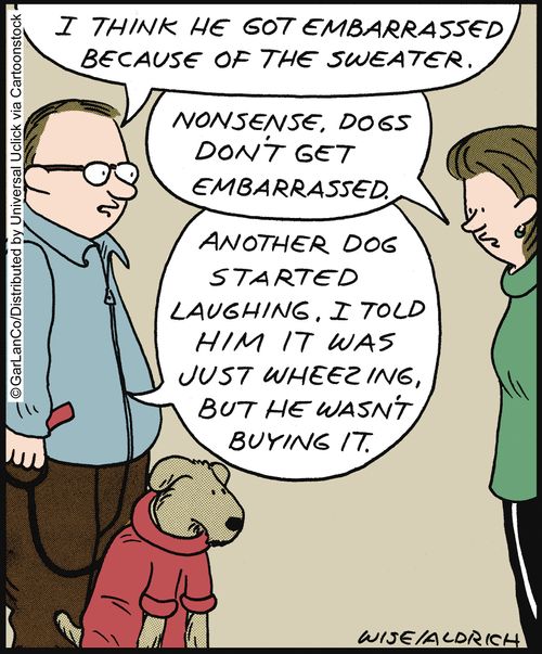 'I think he got embarrassed because of the sweater. . . Another dog started laughing. I told him it was just wheezing, but he wasn't buying it.'