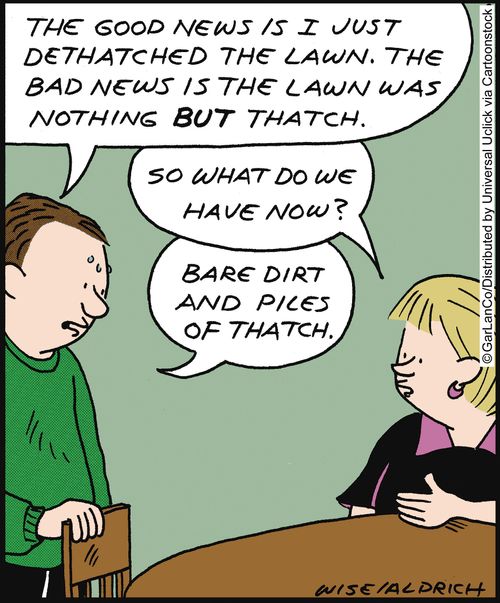 'The good news is I just dethatched the lawn. The bad news is the lawn was nothing but thatch. . .'