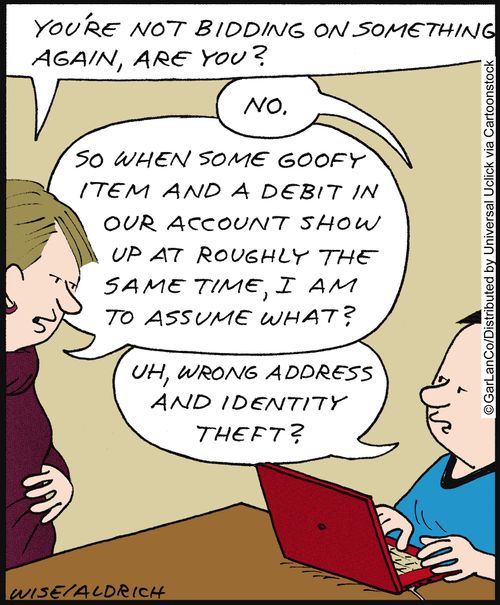 'You're not bidding on something again, are you? . . . So when some goofy item and a debit in our account show up at roughly the same time, I am to assume what?'