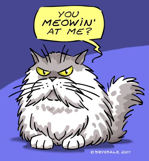 'You meowin' at me?'