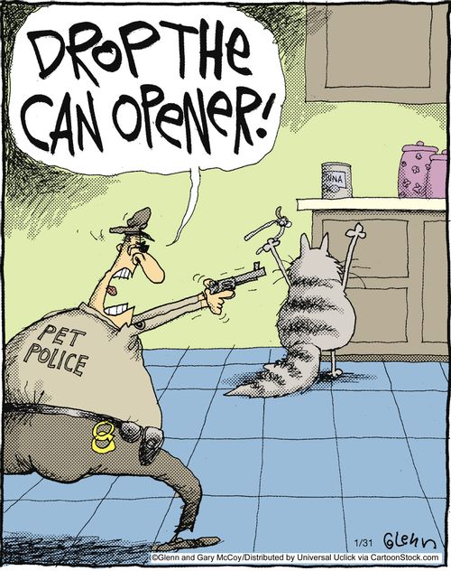 'Drop the can opener!'