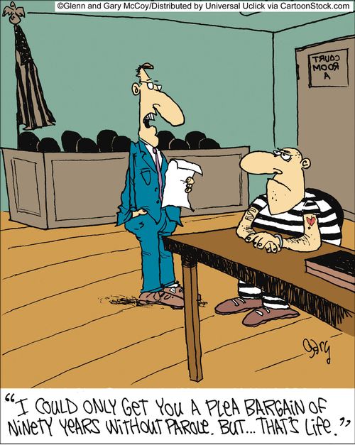 'I could only get you a plea bargain of ninety years without parole. But... That's life.'