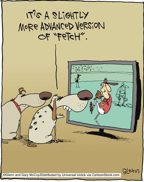 'It's a slightly more advanced version of fetch.'