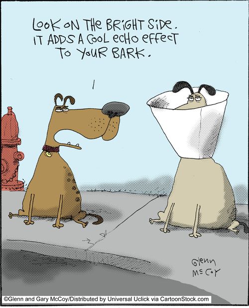 'Look on the bright side. It adds a cool echo effect to your bark.'