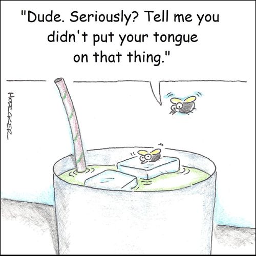 'Dude. Seriously? Tell me you didn't put your tongue on that thing.'