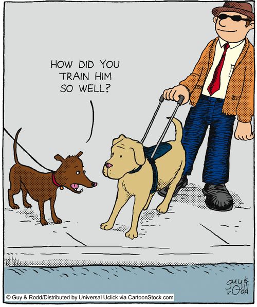 'How did you train him so well?'
