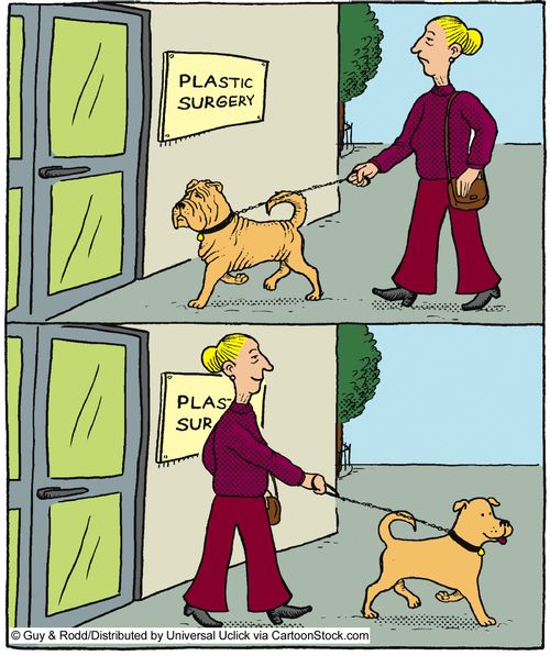 Dog Plastic Surgery.