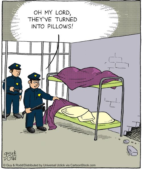 'Oh my lord, they've turned into pillows!'