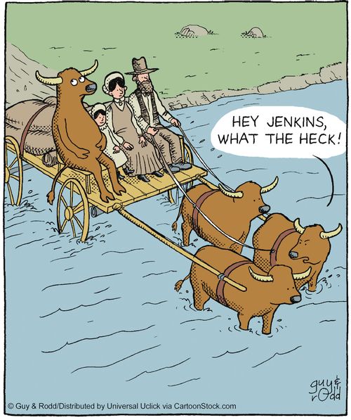 'Hey Jenkins, what the heck?'