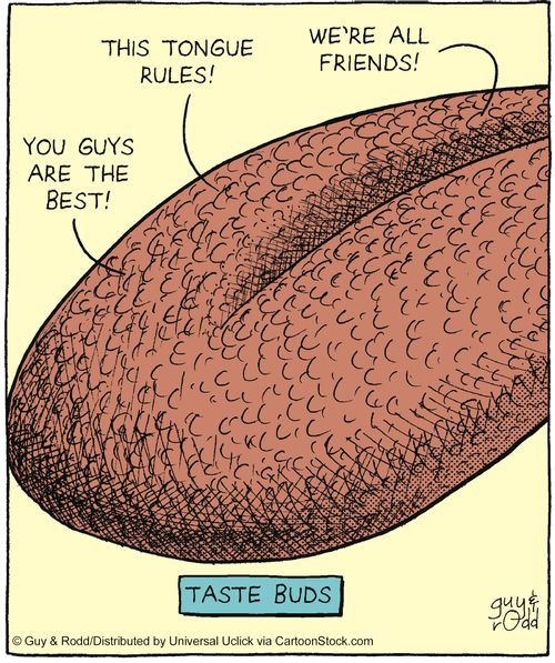 Taste buds