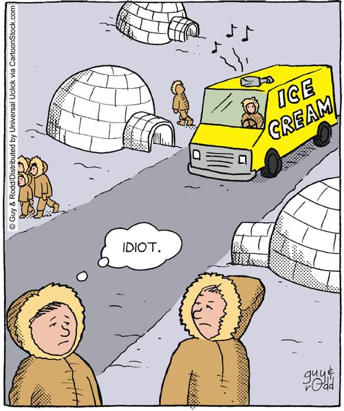 'Idiot.'