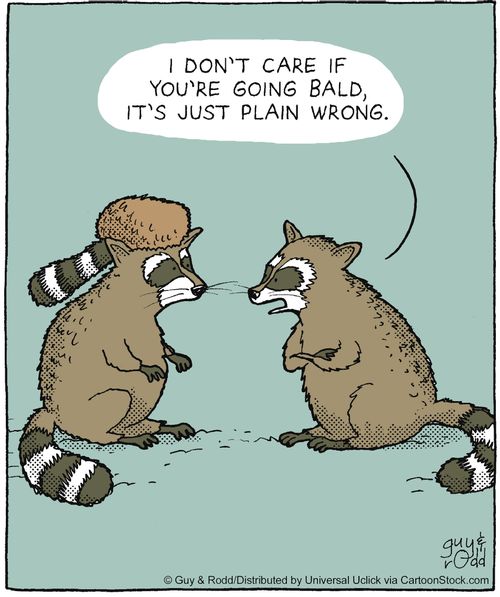 'I don't care if you're going bald, it's just plain wrong.'