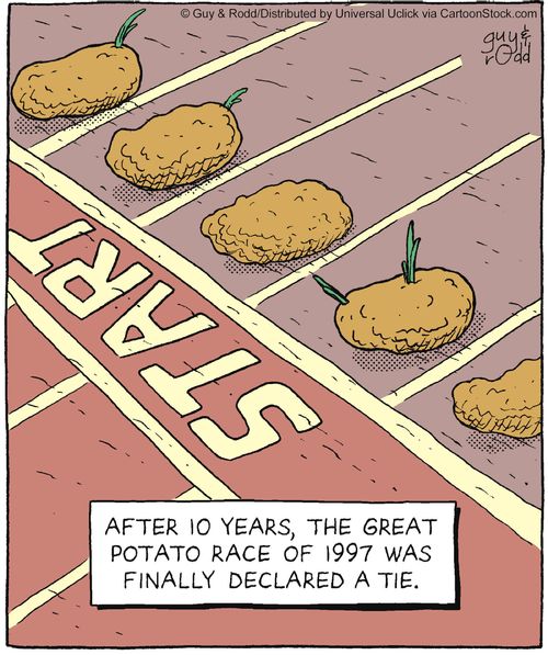 After 10 years, the great potato race of 1997 was finally declared a tie.