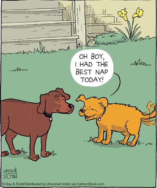 'Oh boy, I had the best nap today!'